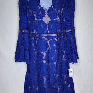 Tadashi Shoji Royal Blue Lace Dress